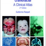 portada6